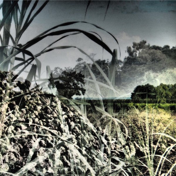 Federica Gonnelli – Metodologie per la conservazione della memoriahttps://www.exibart.com/repository/media/eventi/2019/03/federica-gonnelli-8211-metodologie-per-la-conservazione-della-memoria.jpg