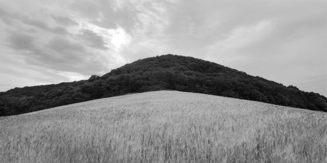 Incontro con il fotografo Andrea Calabresihttps://www.exibart.com/repository/media/eventi/2019/03/incontro-con-il-fotografo-andrea-calabresi-1068x535.jpg