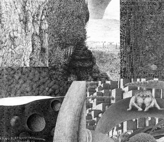 Kentaro Chiba – Life Scroll