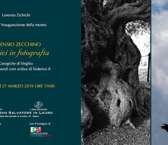 Ortensio Zecchino – Classici in Fotografia