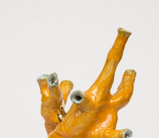 Sabino de Nichilo – Organi da asporto Sabino de Nichilo – Organi da asporto