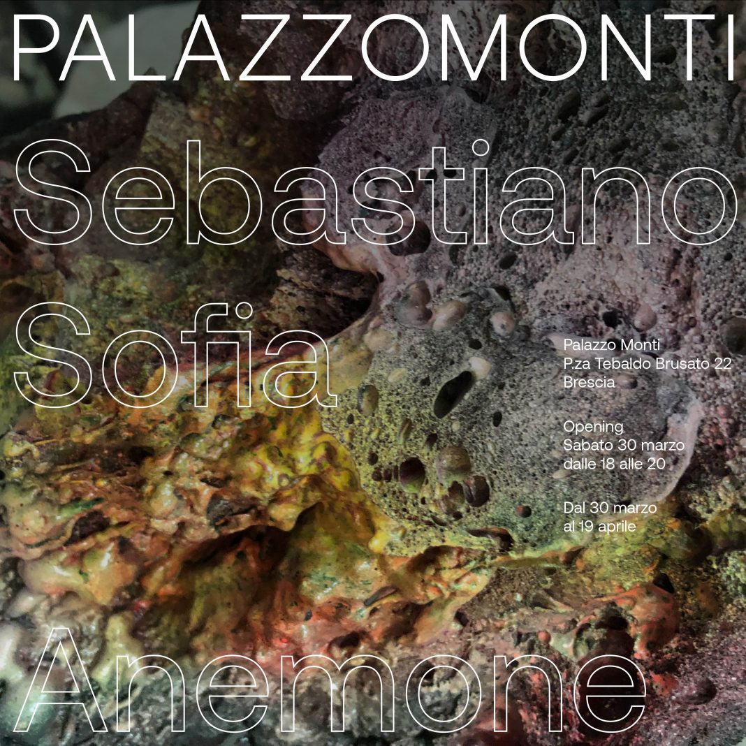 Sebastiano Sofia – Anemonehttps://www.exibart.com/repository/media/eventi/2019/03/sebastiano-sofia-8211-anemone-1068x1068.jpg