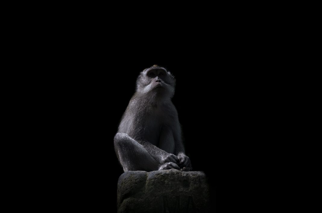 Valerio Figuccio – Innaturahttps://www.exibart.com/repository/media/eventi/2019/03/valerio-figuccio-8211-innatura-1068x706.jpg