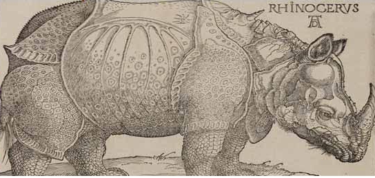 Albrecht Dürer... Albrecht-d%C3%BCrer-8211-la-collezione-completa-dei-remondini