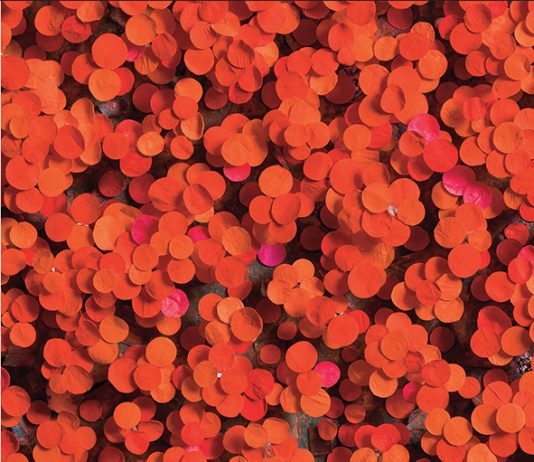 Cho Sung-Hee – Efflorescence