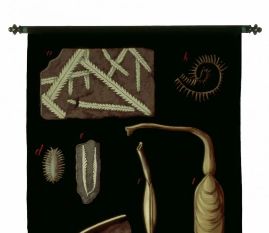 Egisto Tortori – Le “Tele cerate”