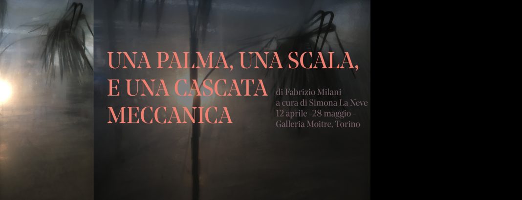 Fabrizio Milani – Una palma, una scala ed una cascata meccanicahttps://www.exibart.com/repository/media/eventi/2019/04/fabrizio-milani-8211-una-palma-una-scala-ed-una-cascata-meccanica-2-1068x410.jpg