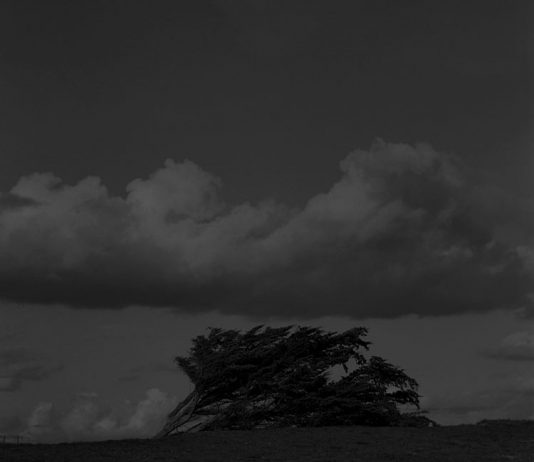 Israel Ariño – La gravetat del lloc – The Gravity of Place