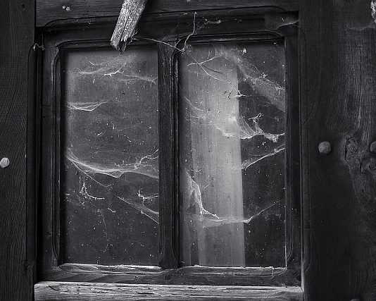 Lorenzo Avico – Amo tutto ciò che è stato Lorenzo Avico – Amo tutto ciò che è stato