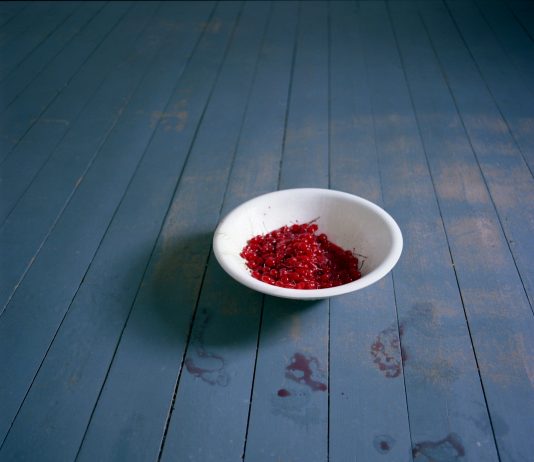 Cig Harvey – Luci del Nord Est