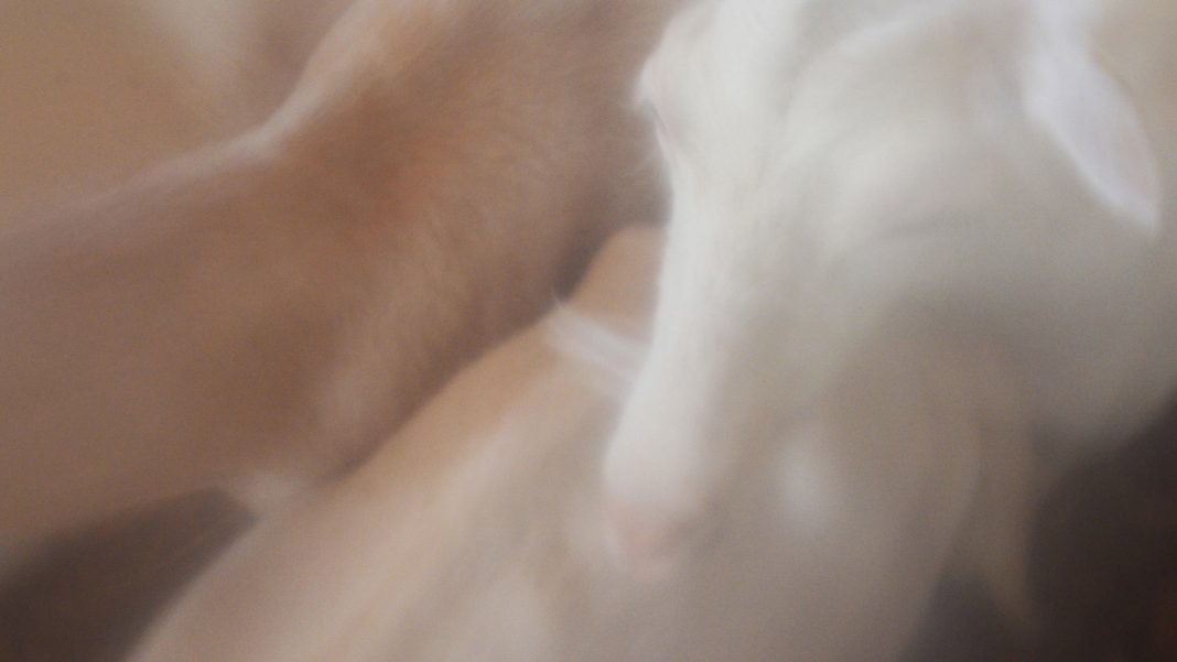 Francesca Finotti – Burning, burninghttps://www.exibart.com/repository/media/eventi/2019/05/francesca-finotti-8211-burning-burning-1068x601.jpg