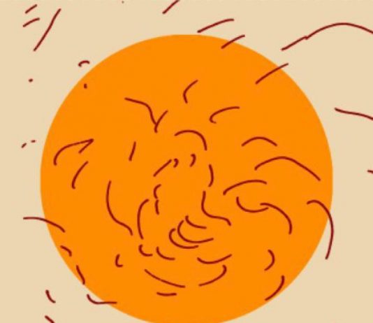 Io e Leonardo