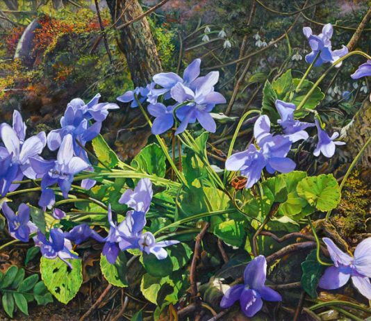 Le poetiche realtà del pittore Livio Možina