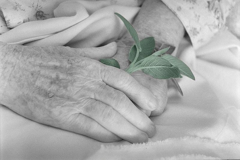 Maria Erovereti – Un piccolo mondohttps://www.exibart.com/repository/media/eventi/2019/05/maria-erovereti-8211-un-piccolo-mondo-1.jpg