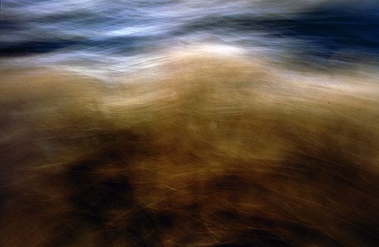 Paolo Zappaterra – Free greenhttps://www.exibart.com/repository/media/eventi/2019/05/paolo-zappaterra-8211-free-green.jpg