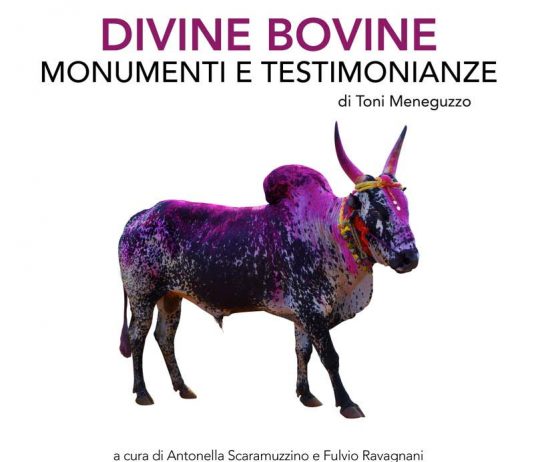 Toni Meneguzzo – Divine Bovine. Monumenti e Testimonianze