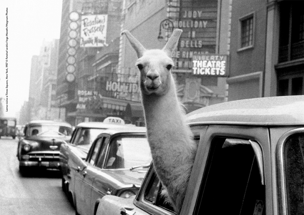 Inge Morath – La vita. La fotografiahttps://www.exibart.com/repository/media/eventi/2019/06/inge-morath-8211-la-vita.-la-fotografia.jpg