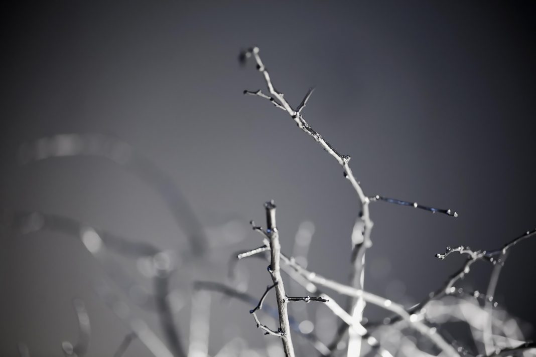 Maura Banfo – Running from Safetyhttps://www.exibart.com/repository/media/eventi/2019/06/maura-banfo-8211-running-from-safety-1-1068x712.jpg