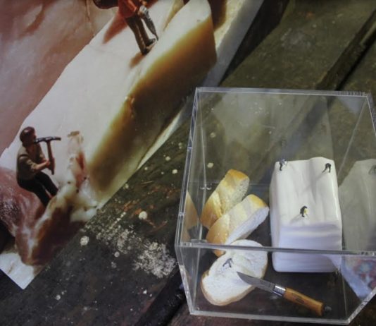 Michele Bertellotti – Il Verso dell’arte Michele Bertellotti – Il Verso dell’arte