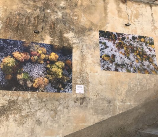 Roberto Ridi – Terre Alte