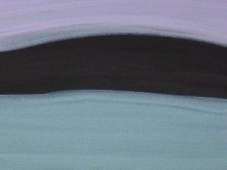 "territorio verdeviola" acrilico 50 x 100