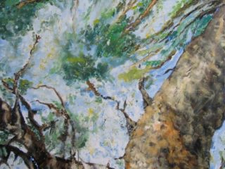 Albero
olio su tela, 100x100 cm