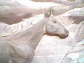 CAVALLO SCULTURA