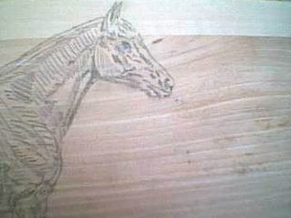 disegno cavallo