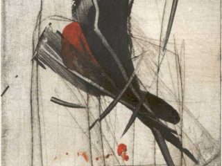 incisione"Farfalla"