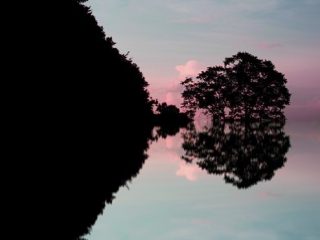 Lake 2007