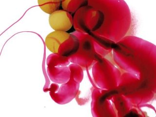 contaminazione fase 2