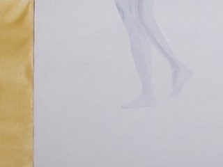 Entità formalmente ideale, 2008, 40x160
