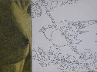 Il fringuello impertinente III, 40x60, 2009