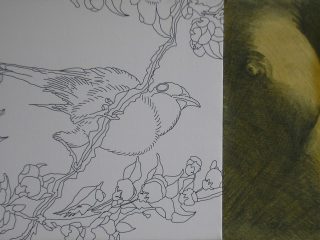 Il fringuello impertinente II, 40x60, 2009