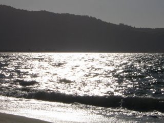 solo mio.