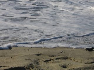 solo mio.