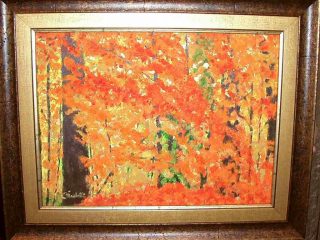 Il bosco incantato  30/40