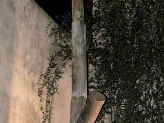 Installazione Albero potato 2003
