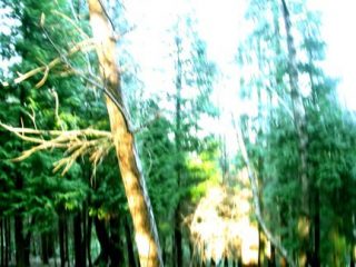 percezioni#49 100x70
