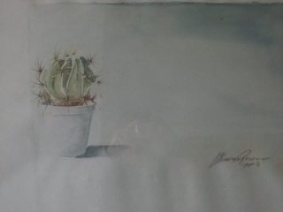 Cactus