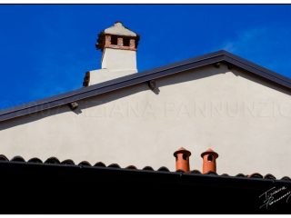 Due comignoli arancioni, 2007