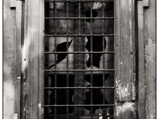 Quod non fecerunt barbaros, 2007