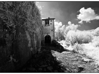 Il vecchio mulino, 2009