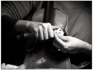 Intaglio del ponticello, 2008