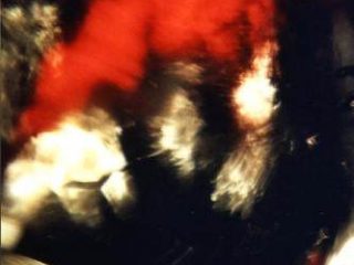 Sinestesia del Flamenco© - Foto analogica, stampata Lambda su carta metal.