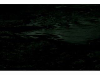 "dark water",(the creation), stampe lambda su dibond, misura totale cm.215x46h (3 pannelli), 2007  
