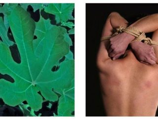 “the martyr”, stampa lambda su plexiglass e alluminio, cm.50x60h (2 pannelli), 2006 (courtesy Galleria Allegretti)