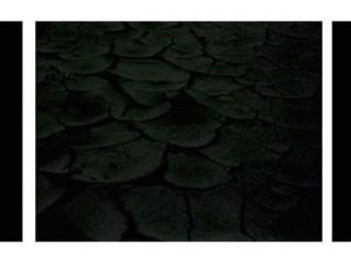 "Indra kills Vrtra the Snake" (the creation), stampe lambda su dibond, misura totale: cm. 200x50h (3 pannelli), 2007 