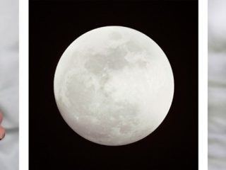 "the white virgin", stampe lambda su plexiglass e alluminio, cm. 50x50h (3 pannelli), 2008 (courtesy Galleria Allegretti)