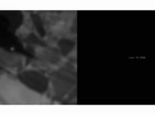 "anatomy of one death (3)", stampe lambda su dibond, cm.100x40h (3 pannelli), 2008